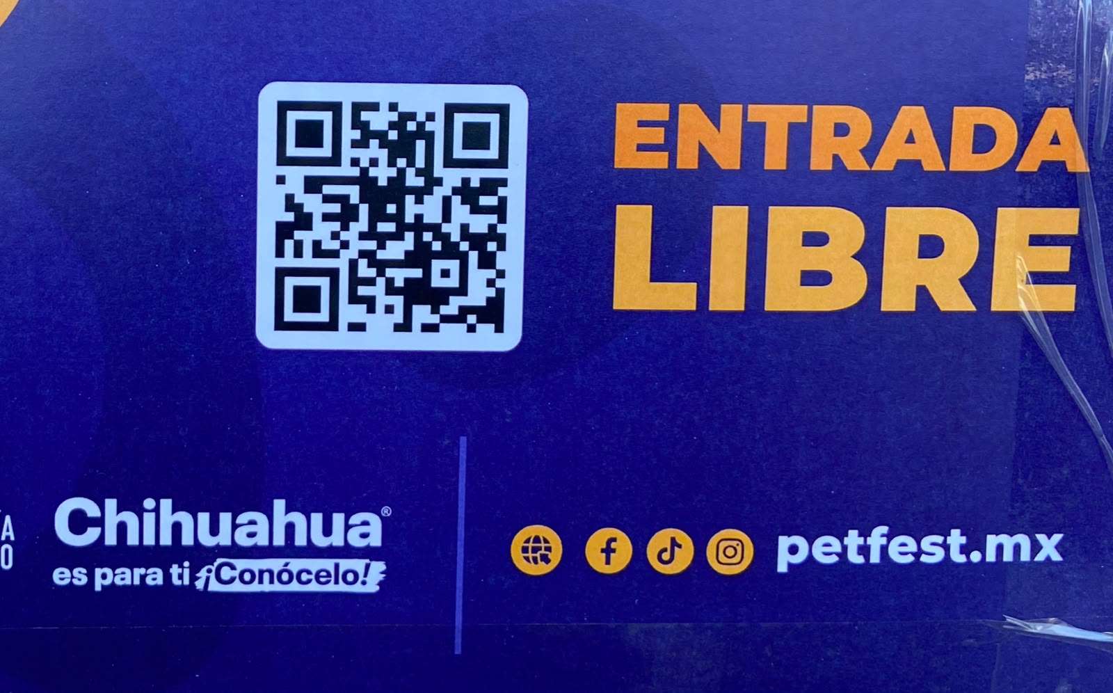 Invitan al PetFest en el Reliz