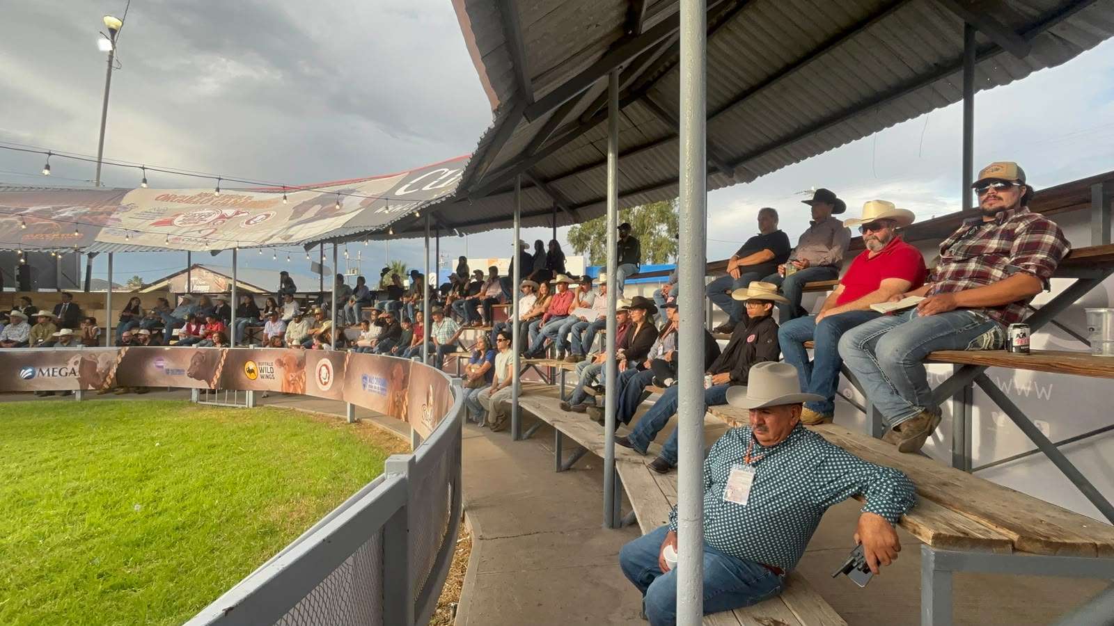 Realizan Anillo de Juzgamiento a razas del ganado en ExpoGan