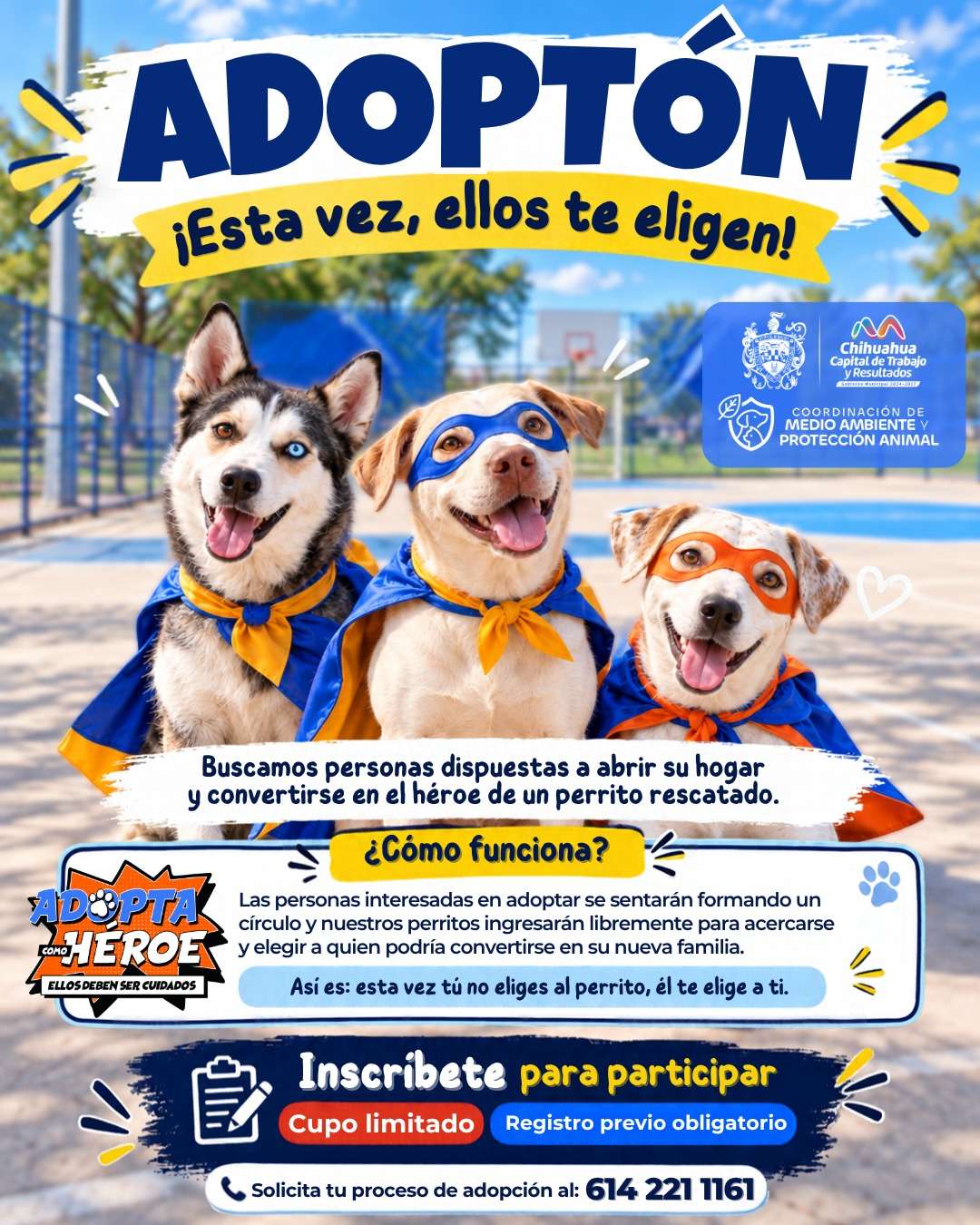 Prepara Municipio evento de adopción de perritos