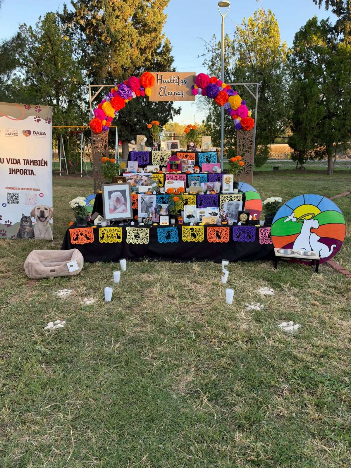 Realiza Bienestar Animal ceremonia Huellitas Eternas