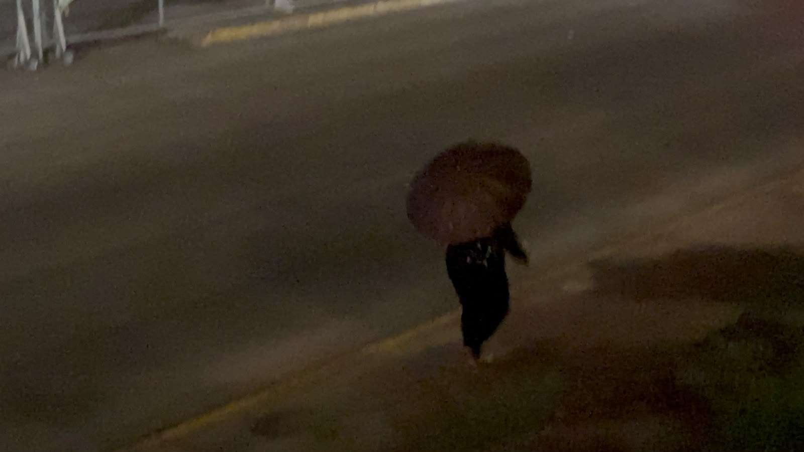Cae lluvia a varios sectores de Chihuahua