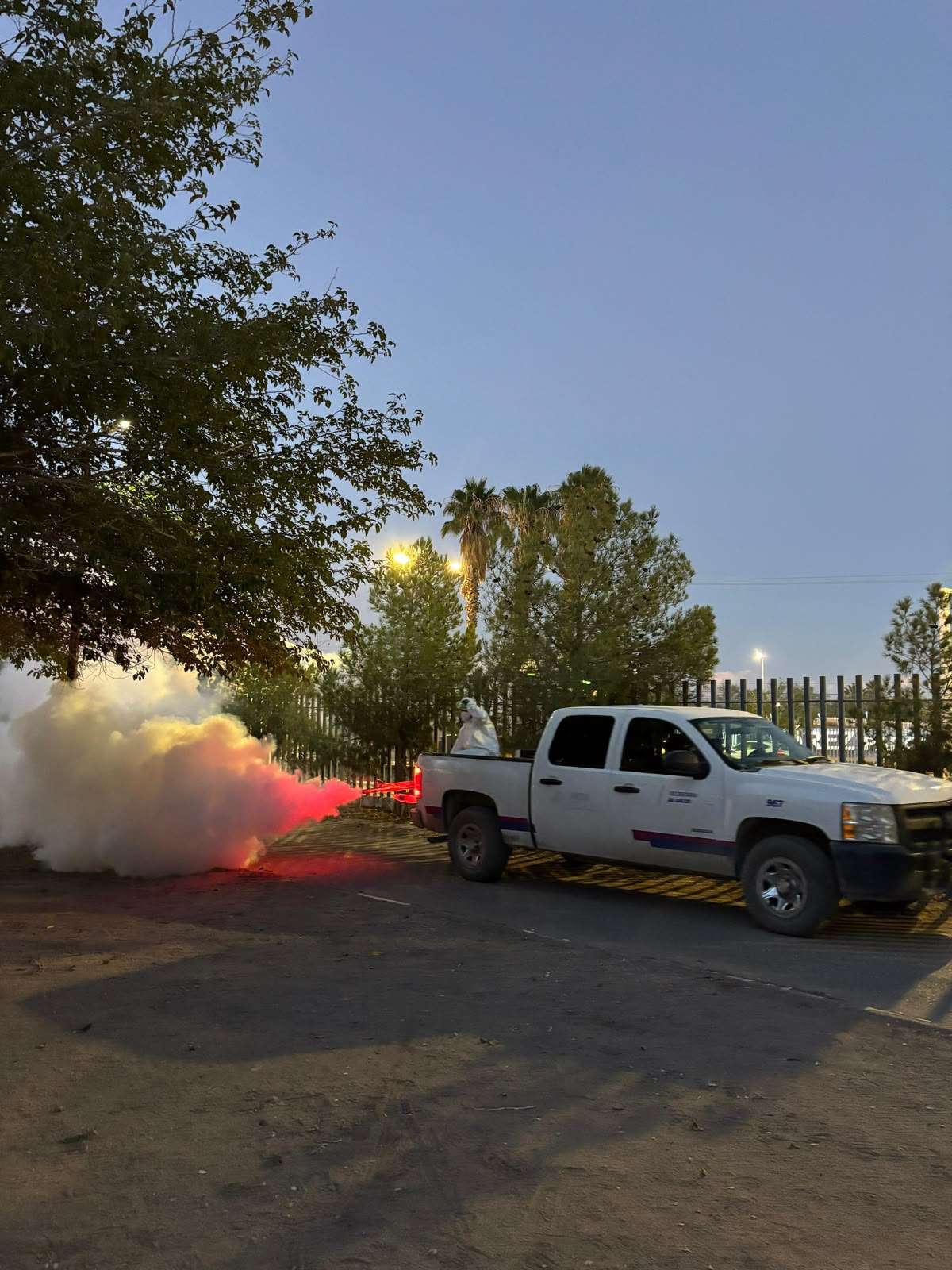 Refuerzan acciones contra garrapatas en el Parque Central 