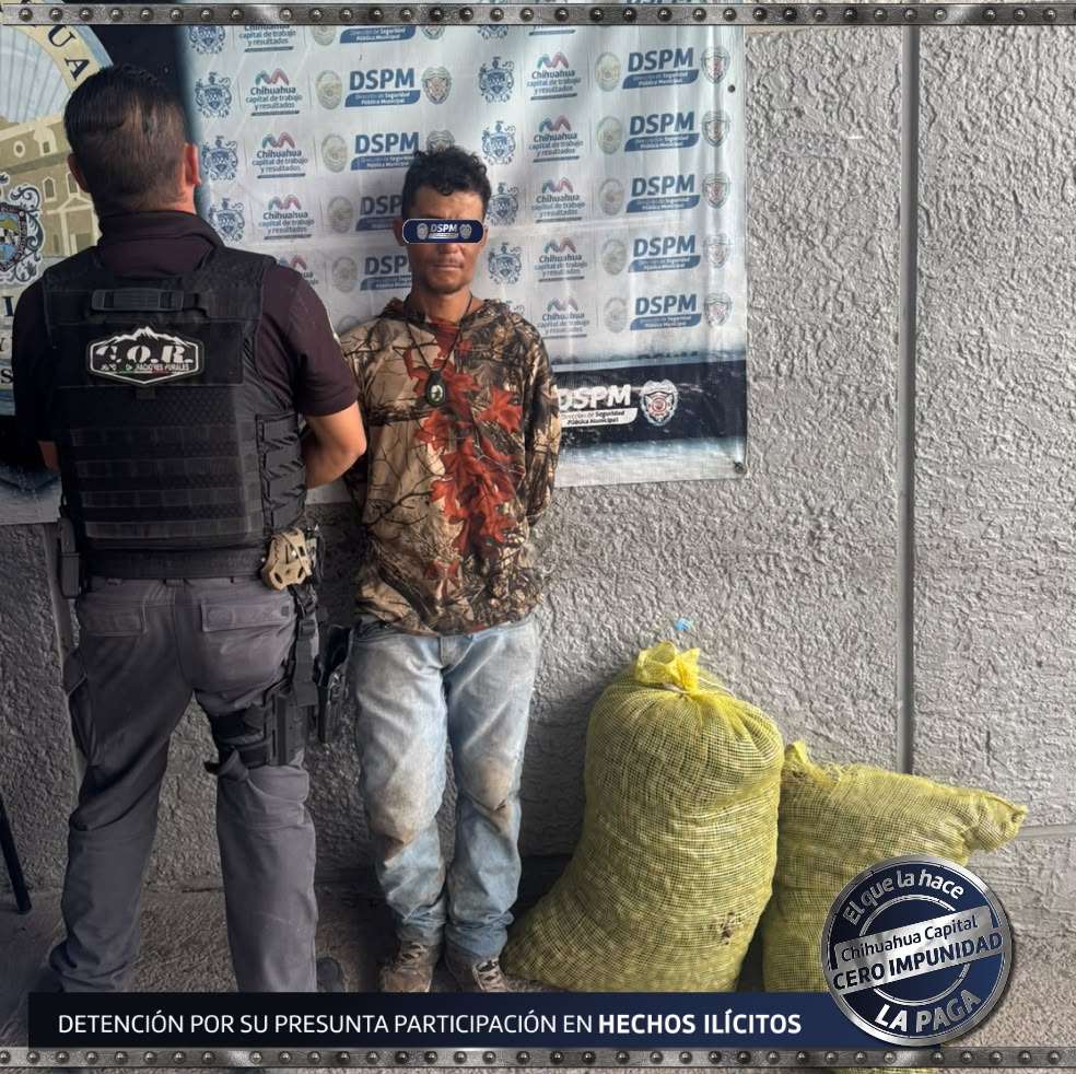 Aseguran 54 kilos de nuez y detienen a presunto ladrón