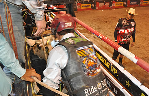 Preparados antes de salir del corralón