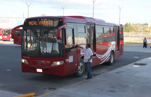 El Vivebús, un sistema de transporte ecológico