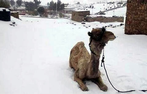 Extraño fenómeno en Egipto
