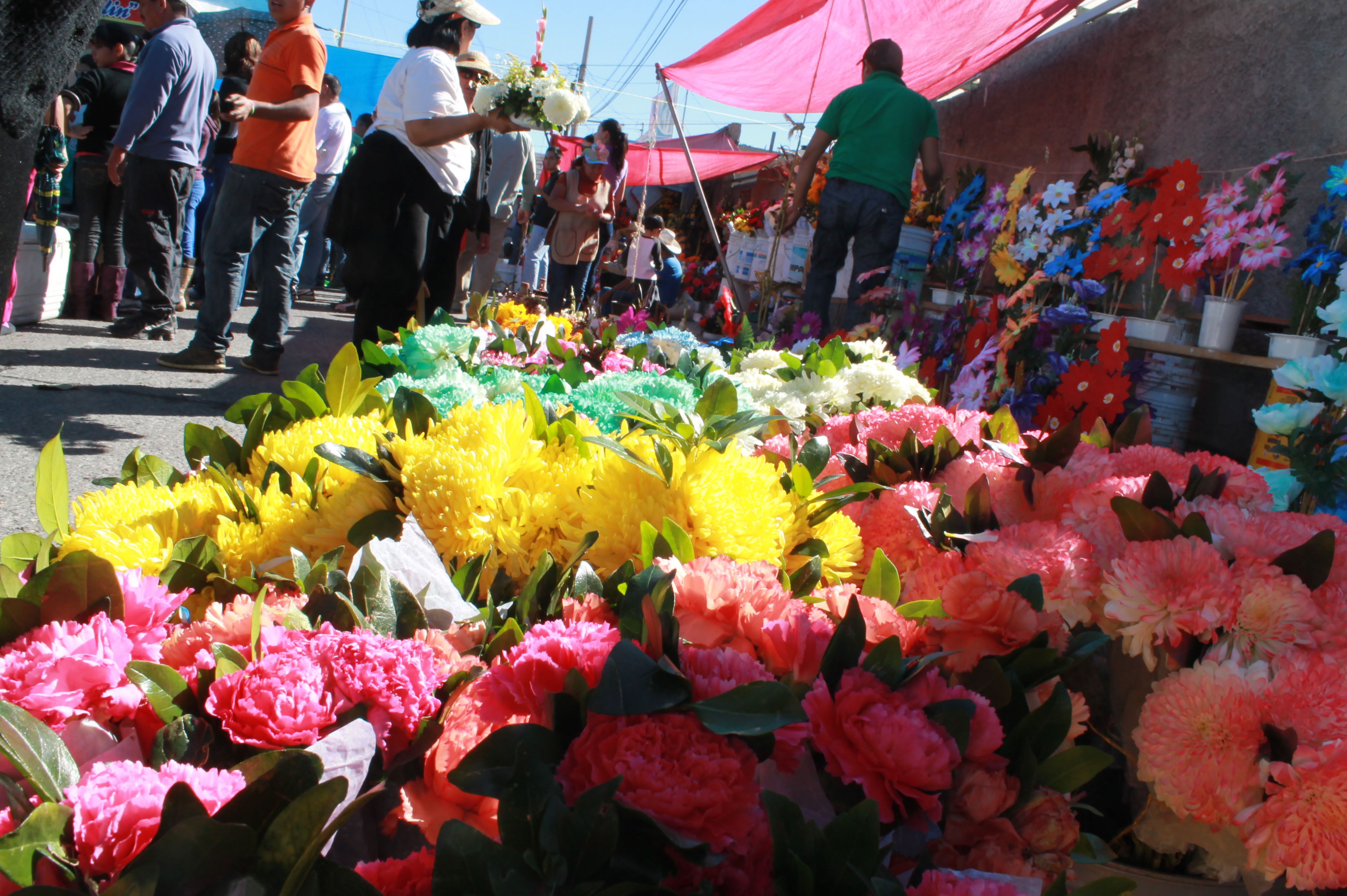 Buen negocio la venta de flores afuera del panteón La Colina | La Opción de  Chihuahua