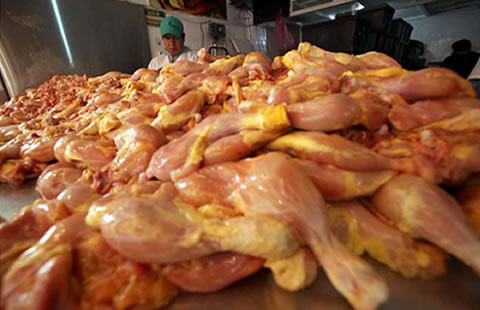 Descubren en México conspiración del pollo