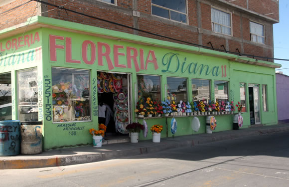 La venta de flores el Día de Muertos será regulada por la Profeco | La  Opción de Chihuahua