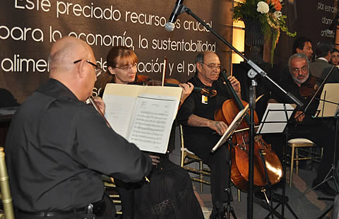 Músicos amenizando