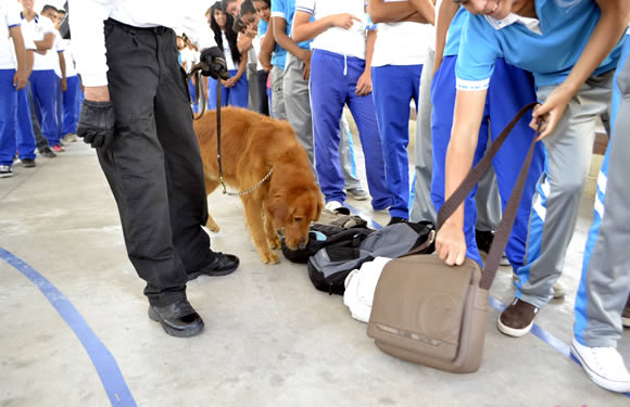 Unidad K-9 haciendo su labor de búsqueda