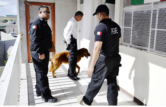 Empieza la inspección