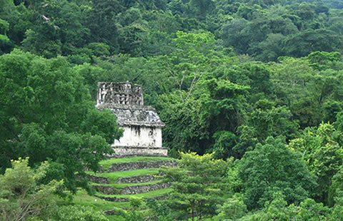 Descubren antiguas ruinas mayas en Guatemala en donde fabricaban sal no marina
