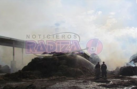 Se queman más de 300 pacas en incendio de granja en Saucillo