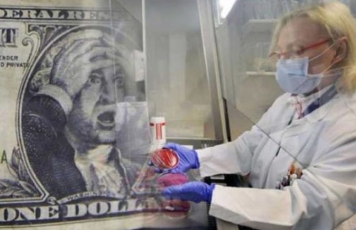 Hallan 3 mil tipos de bacterias en billetes