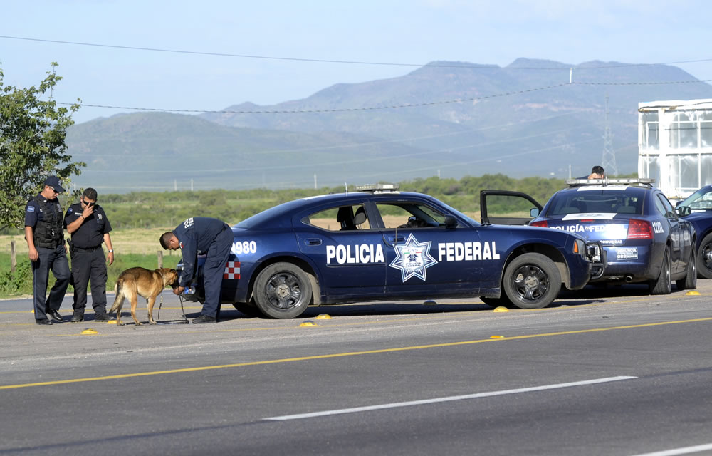Revisan policías federales vehículos en carretera por San Judas Tadeo | La  Opción de Chihuahua