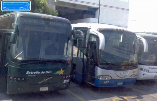 Suspende Profeco a Autobuses Estrella de Oro en Acapulco