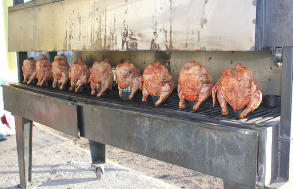 Pollo Sentado