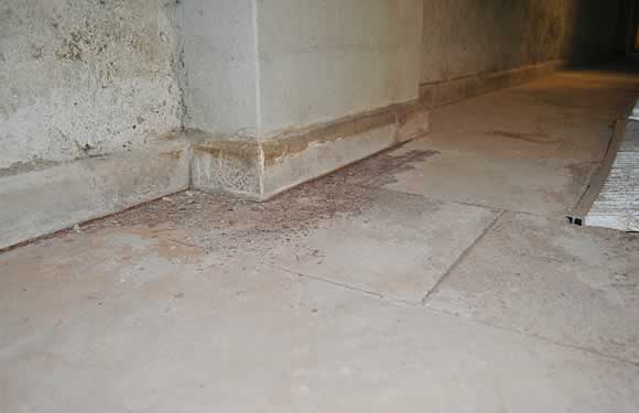 Persiste la humedad en paredes y piso