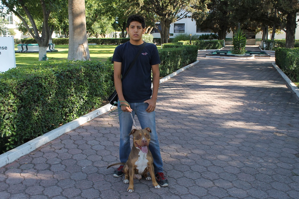 Gabriel y Rex
