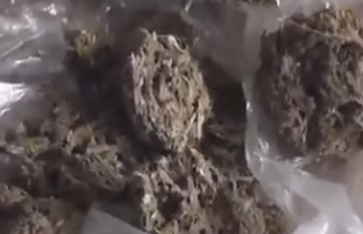 Estafan a comprador de mariguana con estiércol de caballo