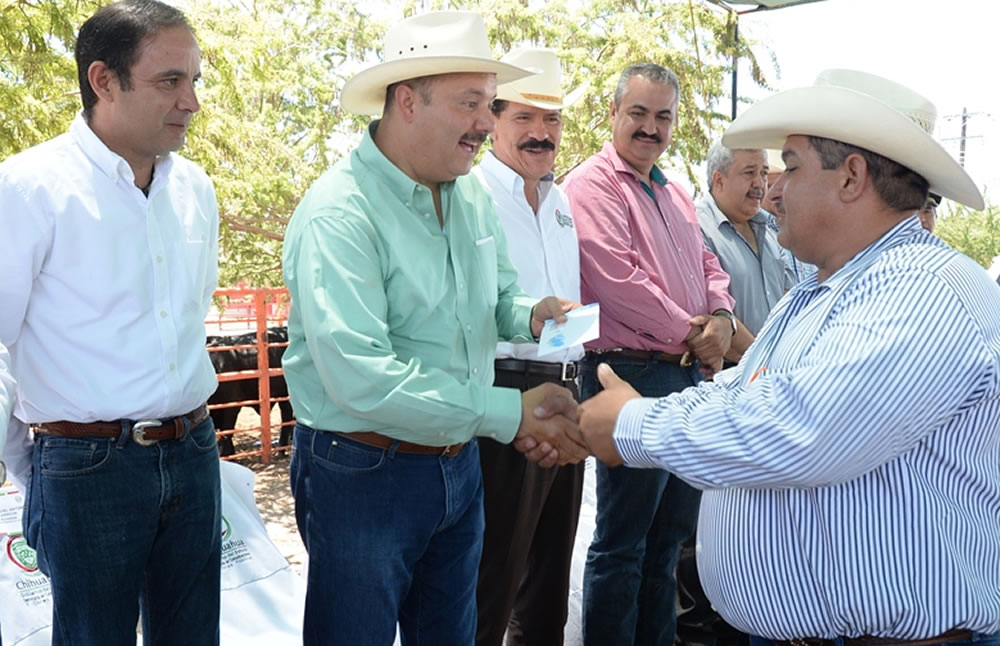 Realiza gira en Ojinaga