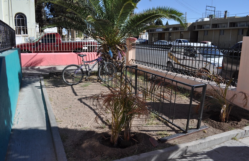 No puede faltar el estacionamiento para bicis