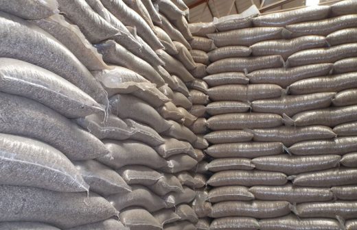 Logra Chihuahua precio de venta de $10 mil por tonelada de frijol | La Opción de Chihuahua