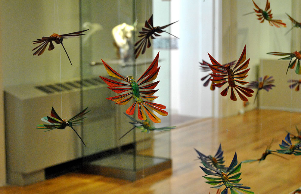Decenas de colibrís en exposición