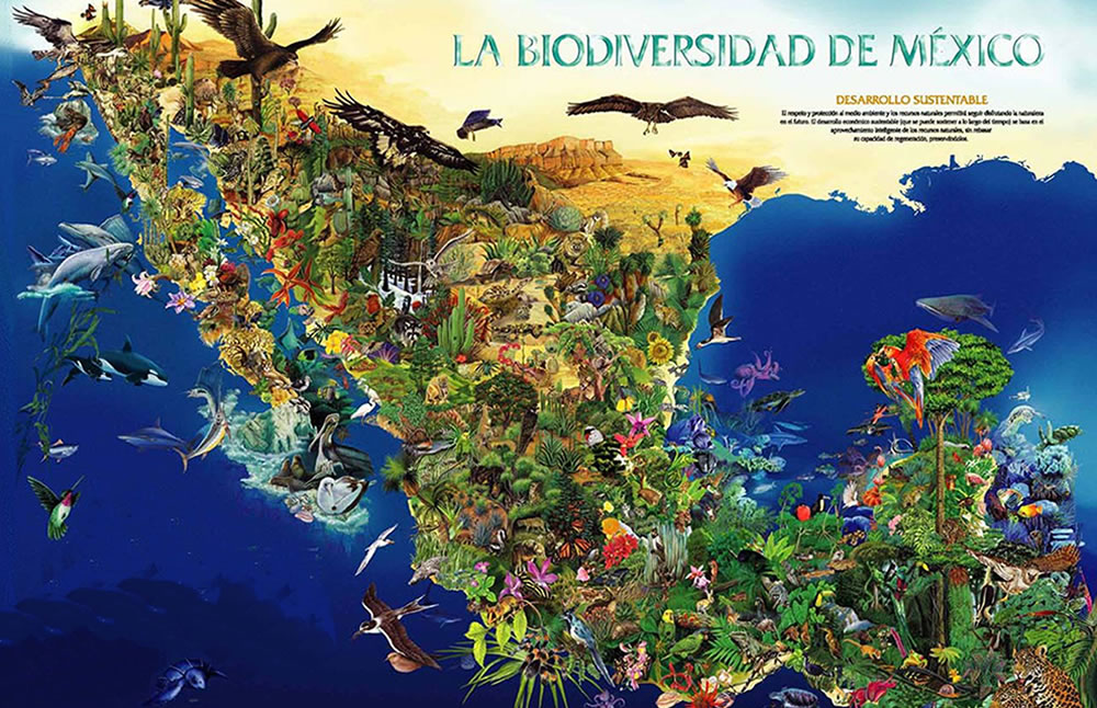 México es uno de los países con mayor diversidad biológica del mundo