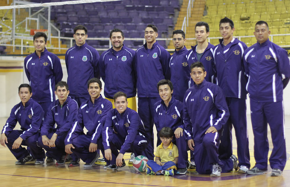 Los Dorados