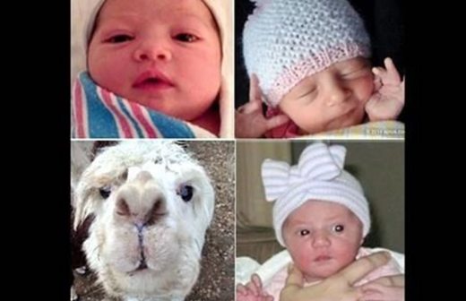 Nombran Wyatt Isabelle a hija de Kutcher y Mila Kunis