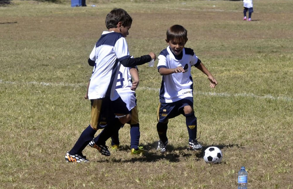 Nuevos miembros de Pumas Universidad