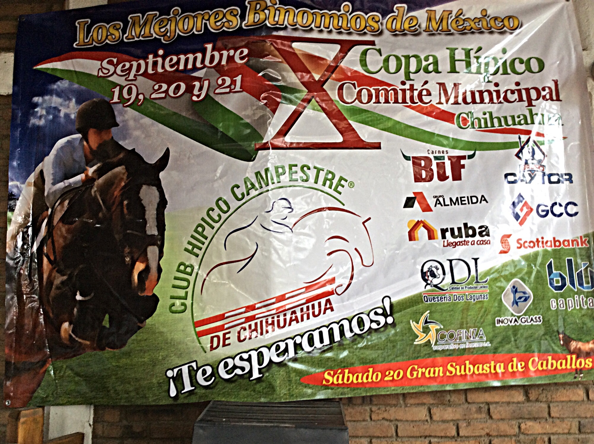 Anuncian gran competencia en X Copa Hípico del Club Campestre | La Opción  de Chihuahua