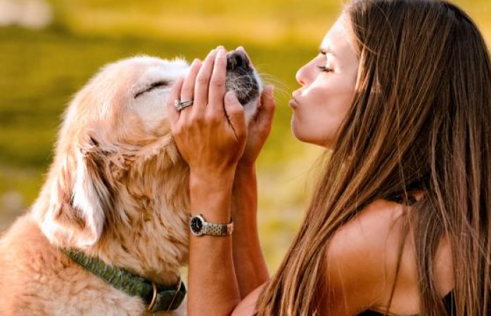 Perros no sienten amor por sus dueños: estudio