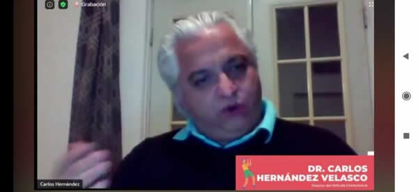 Conferencia virtual