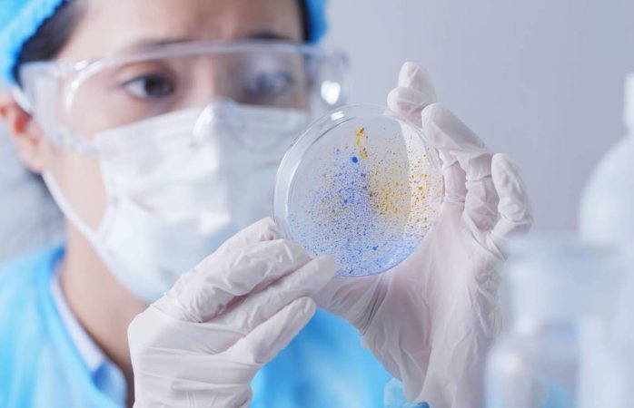 Suman 10 mil casos de brucelosis en China tras fuga de bacteria de laboratorio