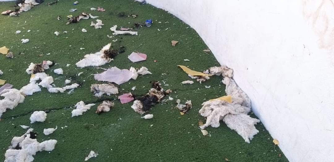 Vuelven a quemar pasto sintético y vandalizan unidad deportiva | La