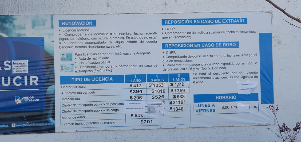 Dan citas para licencia de conducir solo por La