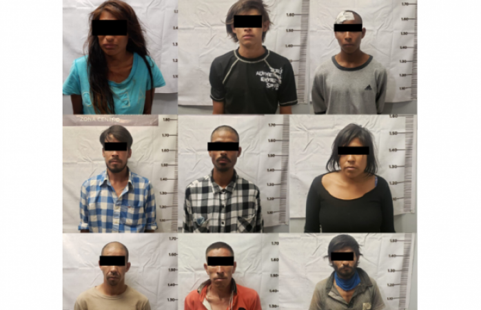 Caen 12 con droga durante cateo en rinconada los nogales