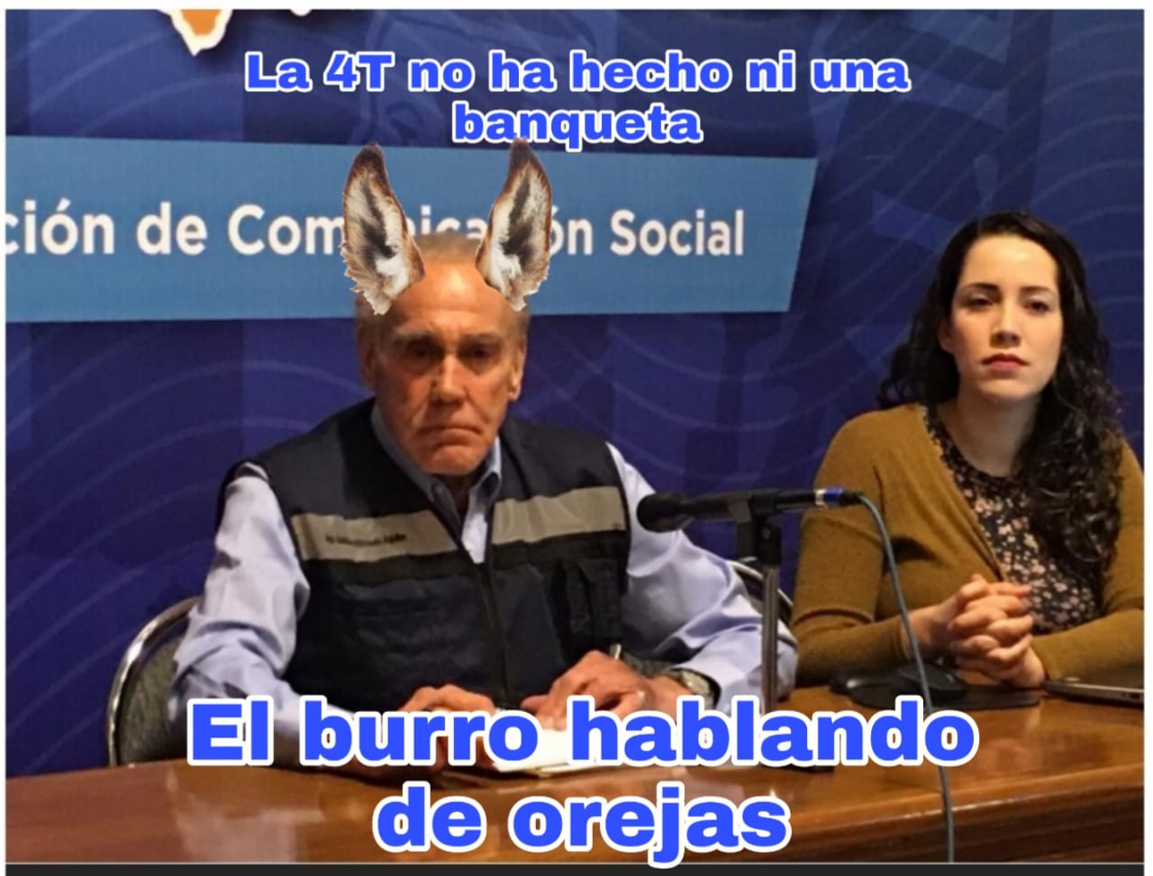 El burro hablando de orejas