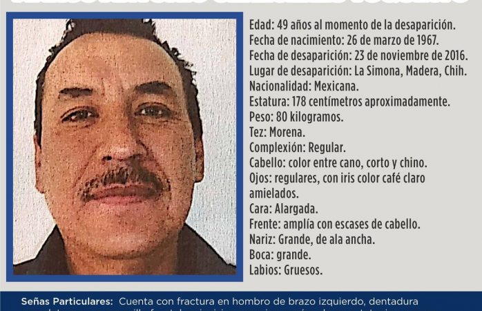 Ofrecen Recompensa De 200 Mil Pesos Por Extraviado En Madera La Opción De Chihuahua 6618