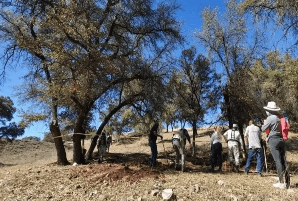 Hallan 11 cuerpos en fosas clandestinas de colima La Opción de Chihuahua