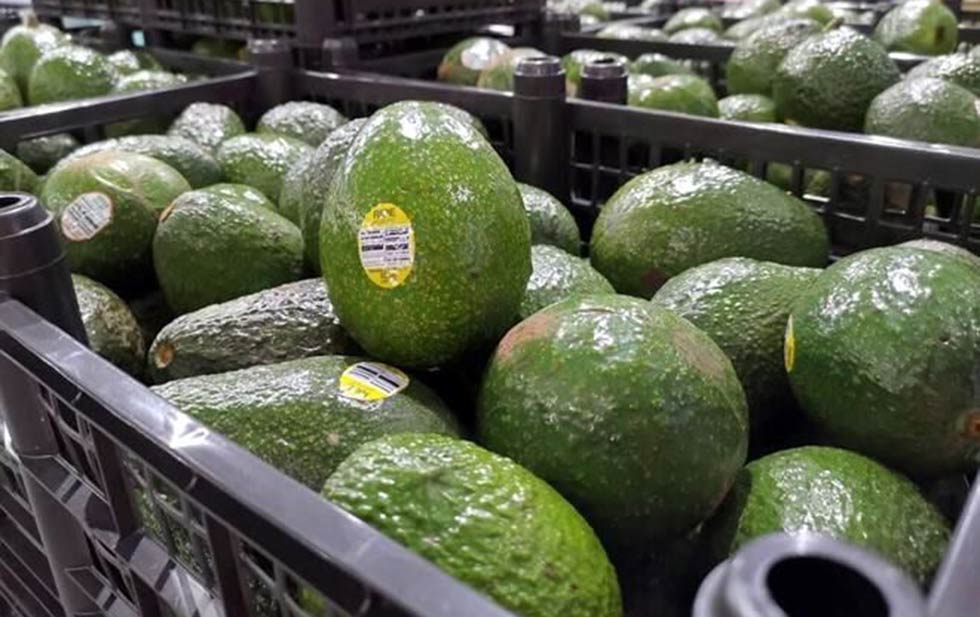 Fotografía ilustrativa