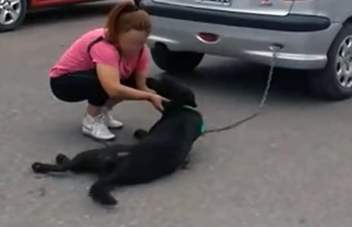Mujer ata a su perro al auto y lo arrastra por siete cuadras