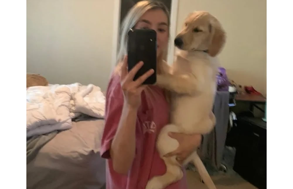 El perro causó risa y ternura
