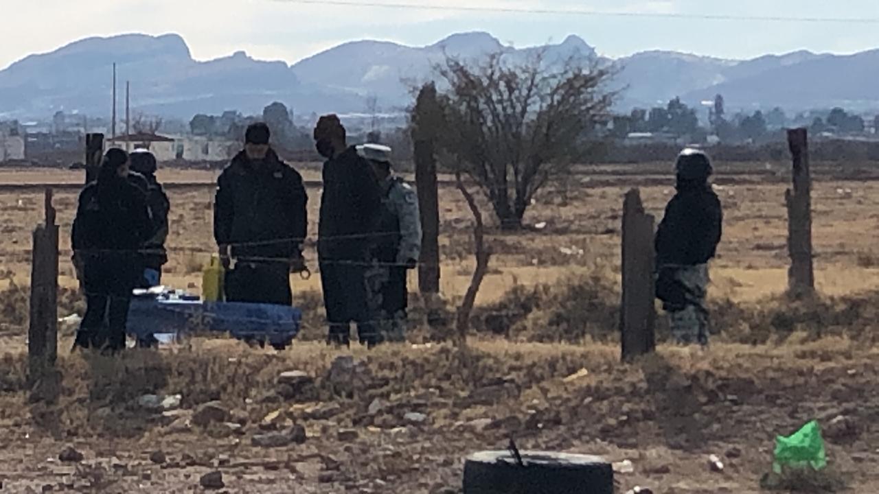 Imágenes del operativo de detención